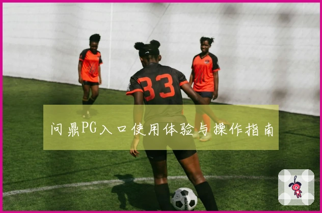 问鼎PG入口使用体验与操作指南