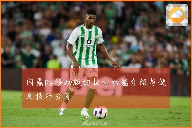 问鼎pg移动版的核心功能介绍与使用技巧分享