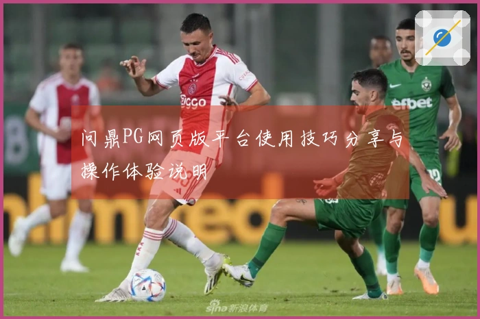 问鼎PG网页版平台使用技巧分享与操作体验说明