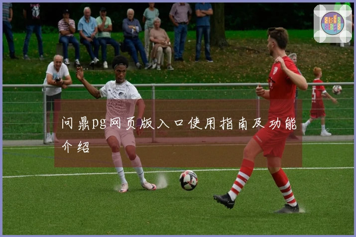 问鼎pg网页版入口使用指南及功能介绍